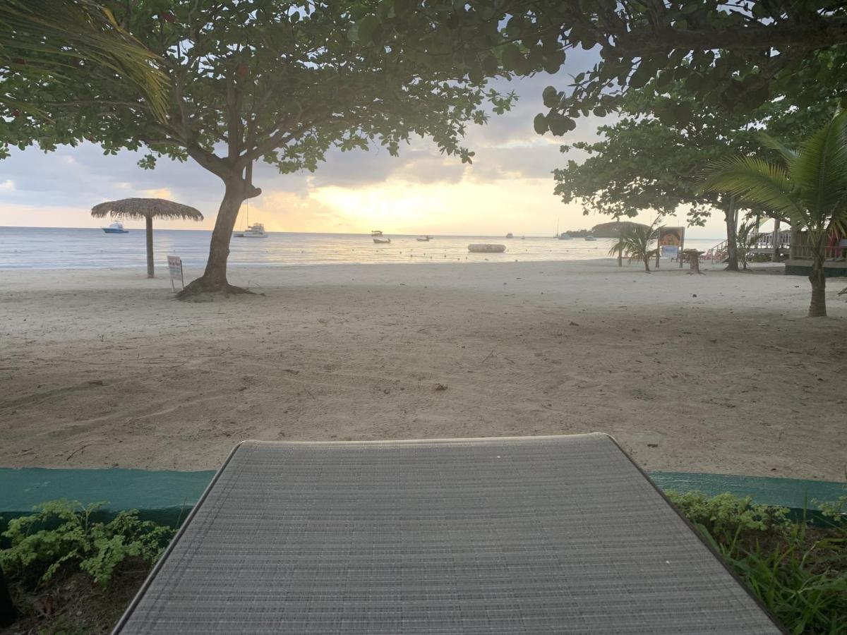 King Suite At Oceanview Resort In Jamaica - Enjoy 7 Miles Of White Sand Beach! Negril Esterno foto
